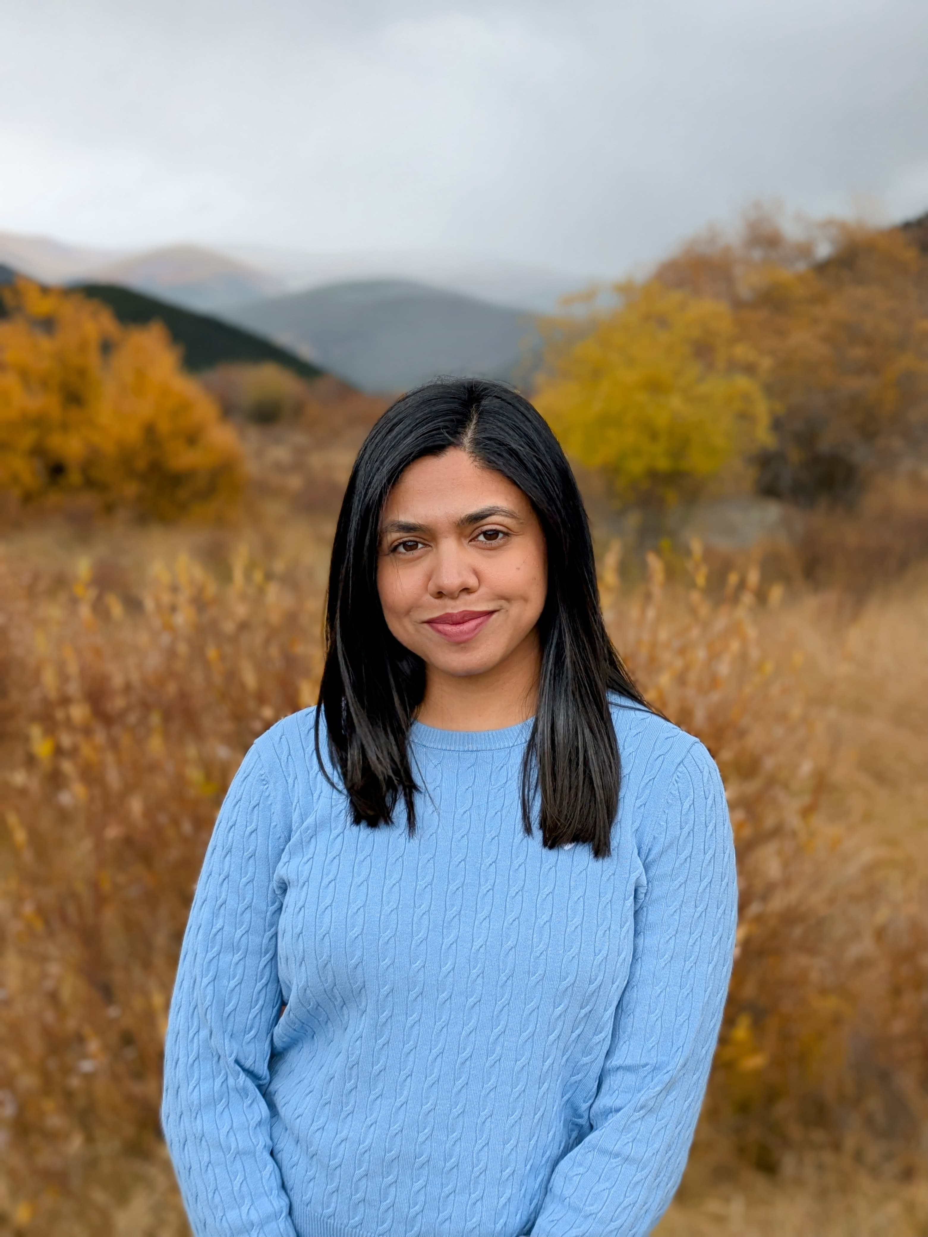 Professional Software Engineer